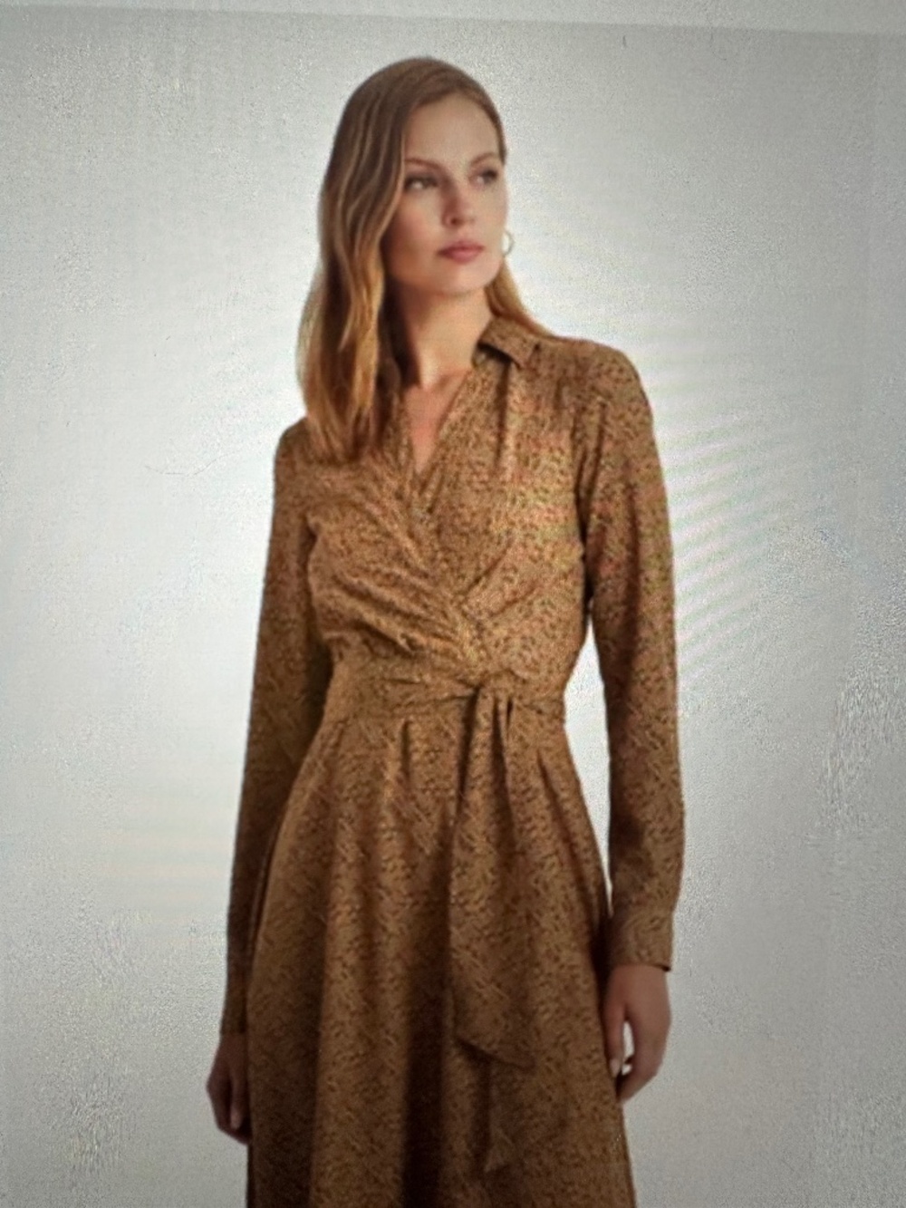 Ralph Lauren Printed Rowella Long Sleeve Day Dress . NWT - Picture 2 of 8
